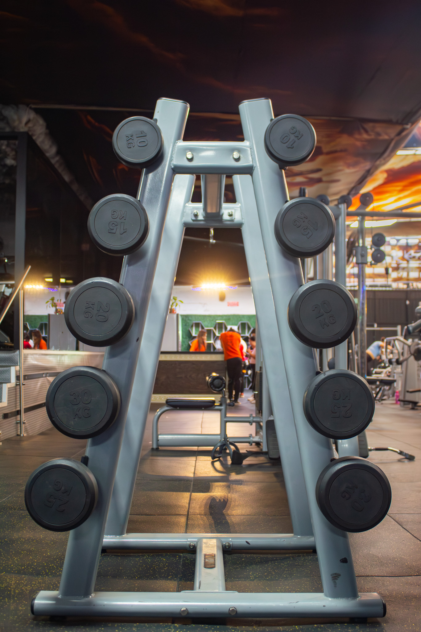 Instalaciones Greek Gym Serdán