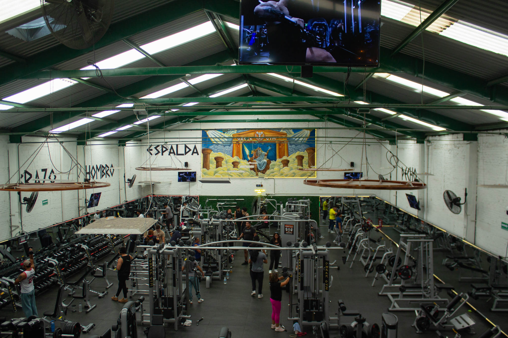 Instalaciones Greek Gym Zeus