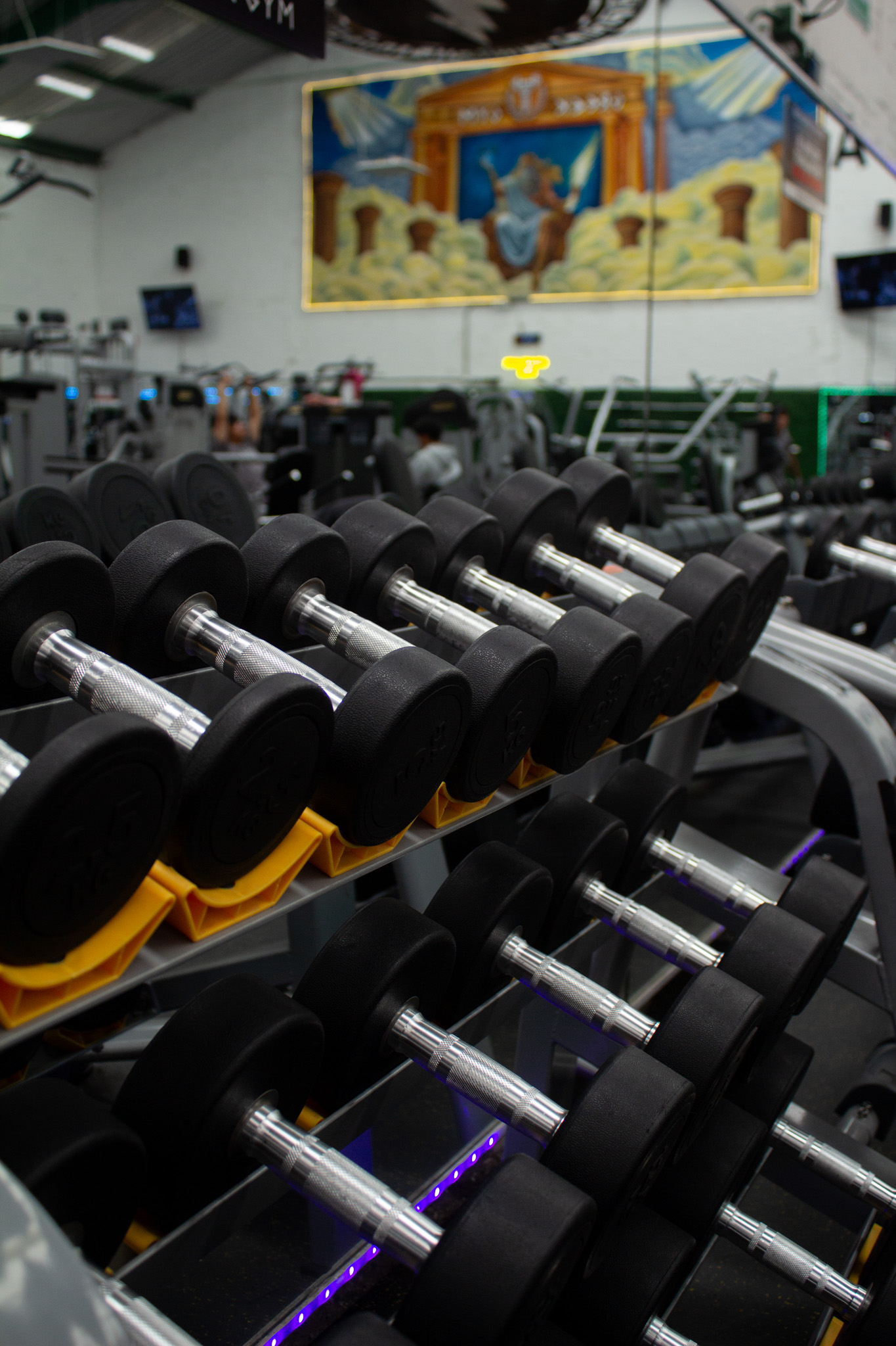 Instalaciones Greek Gym Zeus
