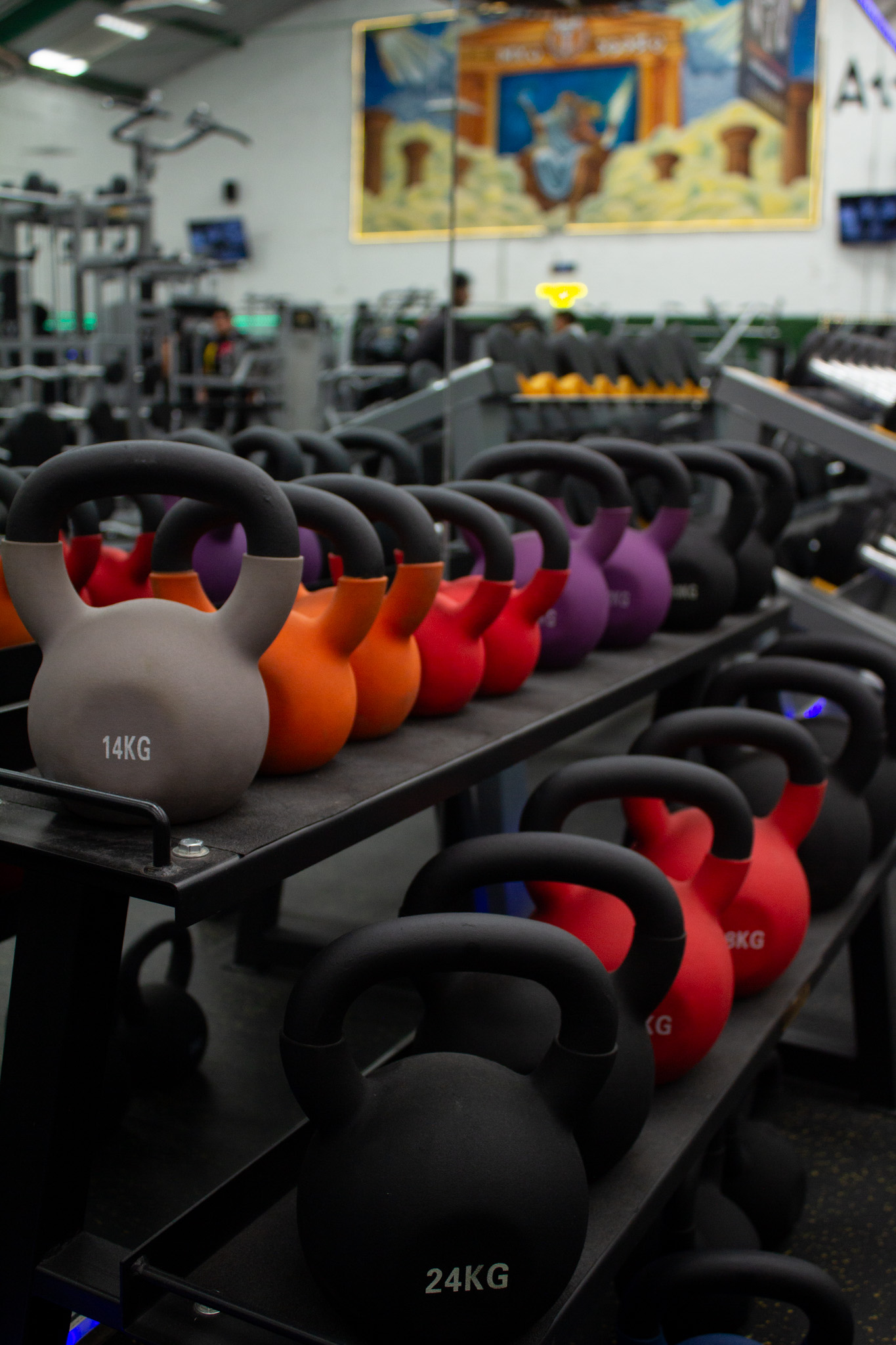 Instalaciones Greek Gym Zeus